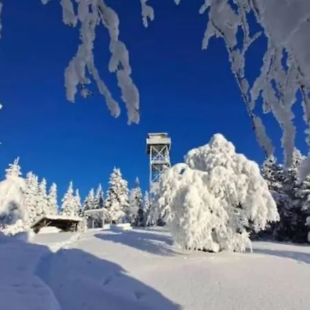 בית נופש Unique Tiny House With Hot Tub Just 30 Minutes From Oslo